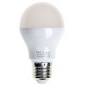 Ampoule LED E27 blanc chaud et blanc froid