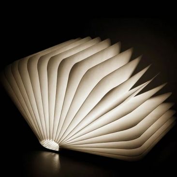 Lampe LED livre couverture bois