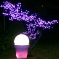 Cerisier lumineux - 648 LED 2.00 m