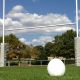 Ballon de rugby Ellis