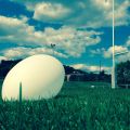 Ballon de rugby Ellis prêt pour la transformation