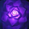 Rose lumineuse violette