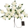 Bouquet de roses lumineuses LED blanches