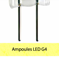 Ampoules LED G4