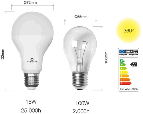 Ampoule LED Standard 15 Watts