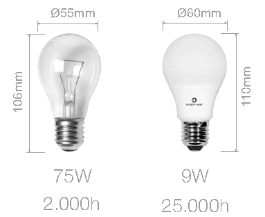 Dimensions ampoule LED