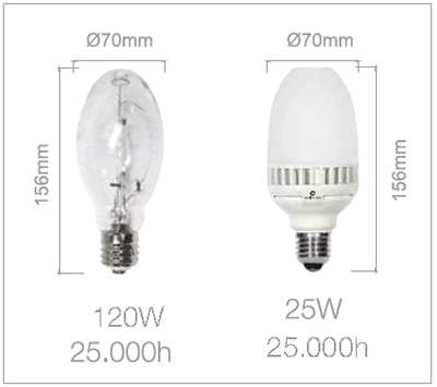 Ampoule LED MNG